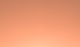 零技术门槛的建站交易平台