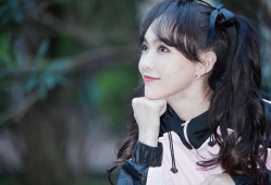 电脑版Photoshop软件应用教程