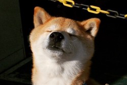 新手如何搭建网站：从零开始的建站框架入门指南