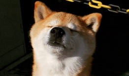 新手如何搭建网站：从零开始的建站框架入门指南