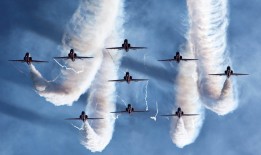 网站结构在SEO优化中的关键作用