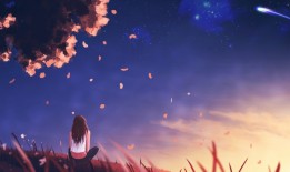 后浪互联网络：引领未来数字生态的创新力量