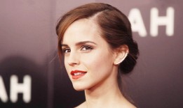 互联网络专用电脑配置优化指南