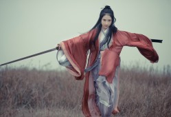 新都区建站技术解析与应用