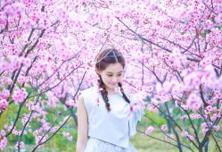 天津模板建站技术优势解析