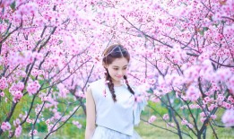 北京企业网站建设技术解析