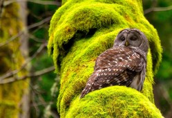 互联网络职业学校：培养数字时代技能人才的摇篮