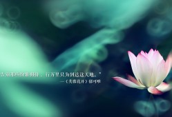 如何一步步搭建自己的网站：全面建站指南