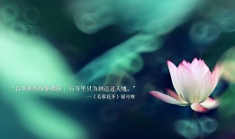 重庆互联网发展现状与趋势分析