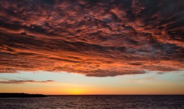 高效营销单页设计：提升网站推广效果的必备工具