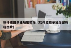 软件应用单独加密教程（软件应用单独加密教程图片）