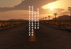 武汉米虫互联网络的用户体验与服务评价