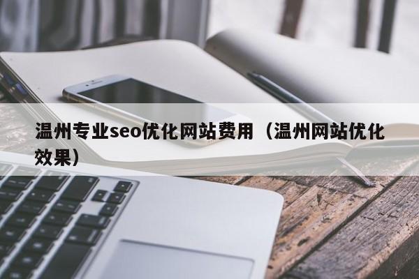 温州专业seo优化网站费用（温州网站优化效果）