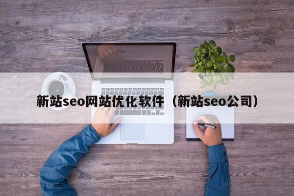新站seo网站优化软件（新站seo公司）