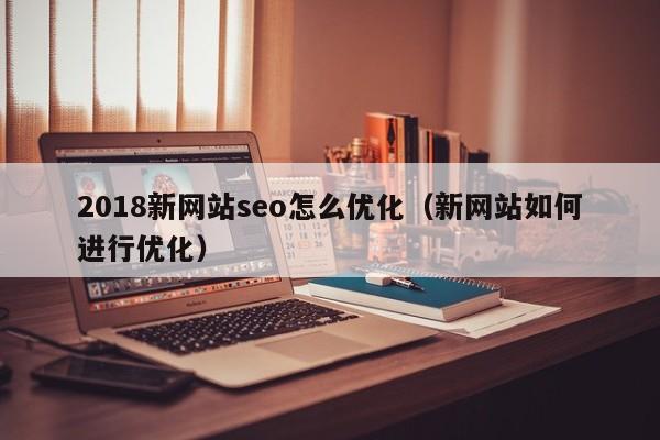 2018新网站seo怎么优化（新网站如何进行优化）