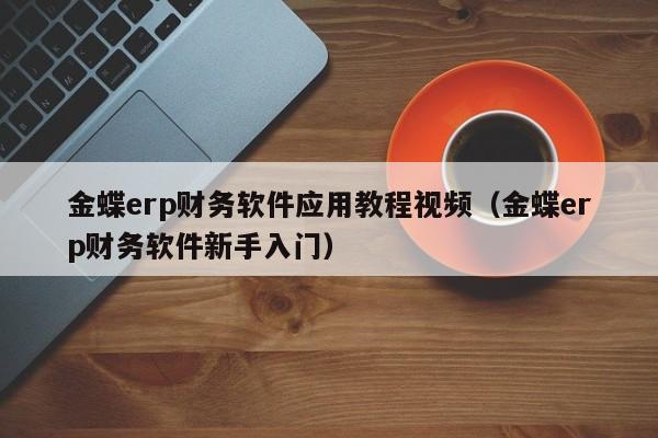 金蝶erp财务软件应用教程视频(金蝶erp财务软件新手入门)