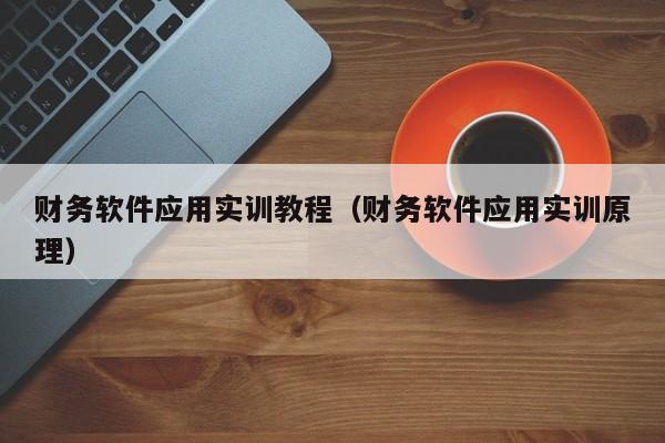 财务软件应用实训教程(财务软件应用实训原理)