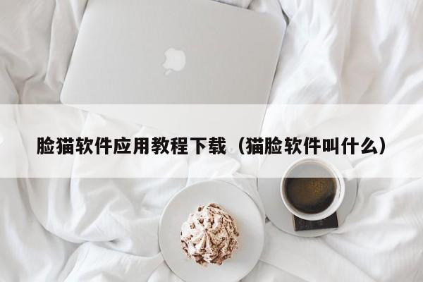 脸猫软件应用教程下载(猫脸软件叫什么)